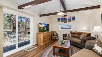TV, fireplace, DVD player, books