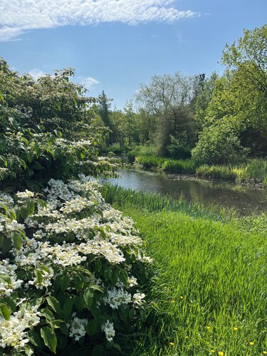 The Farmhouse at Solsgirth Home Farm  - sleeps 10 guests  in 4 bedrooms