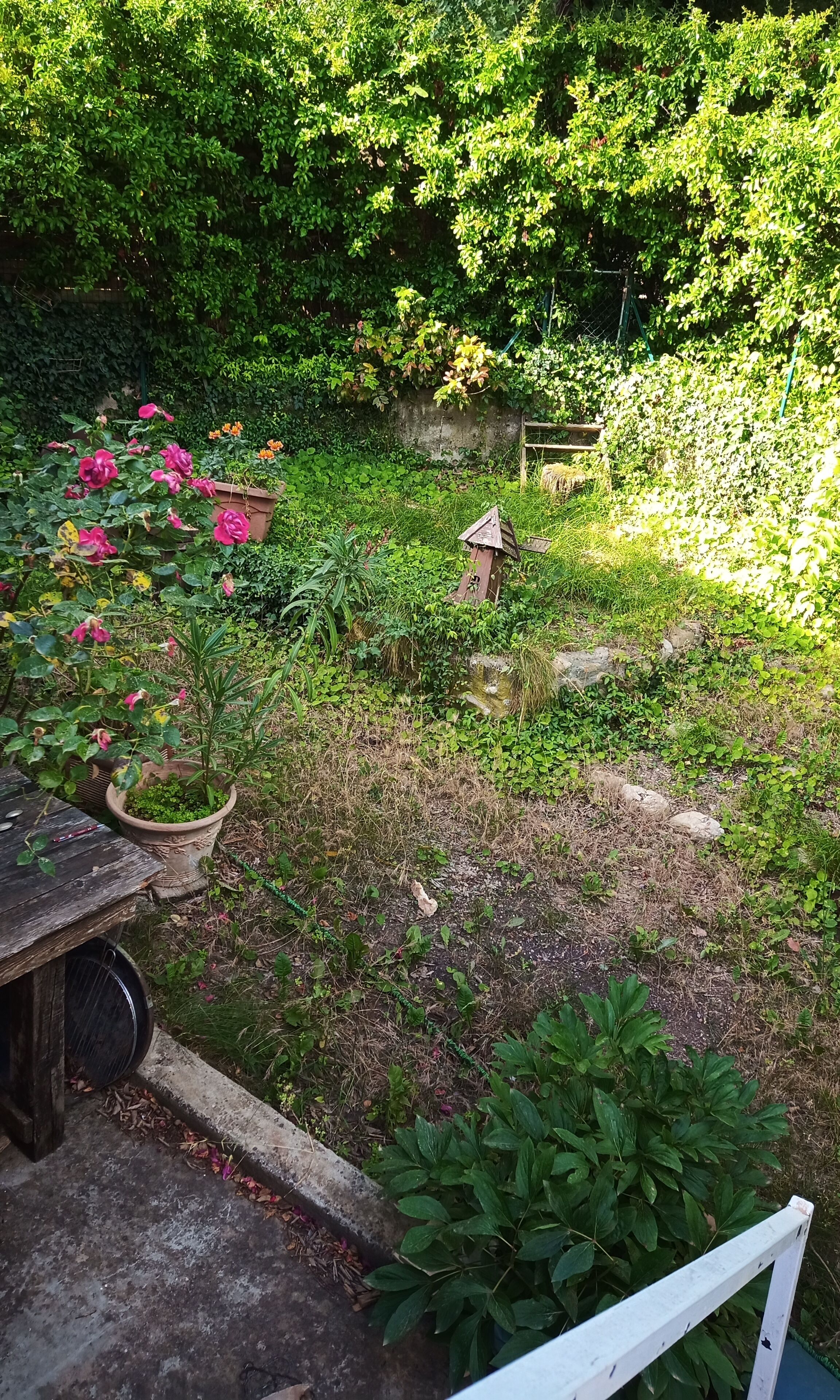 Property grounds