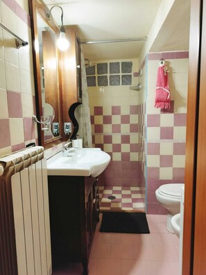 Chuveiro, secador de cabelo, bidê, toalhas de banho