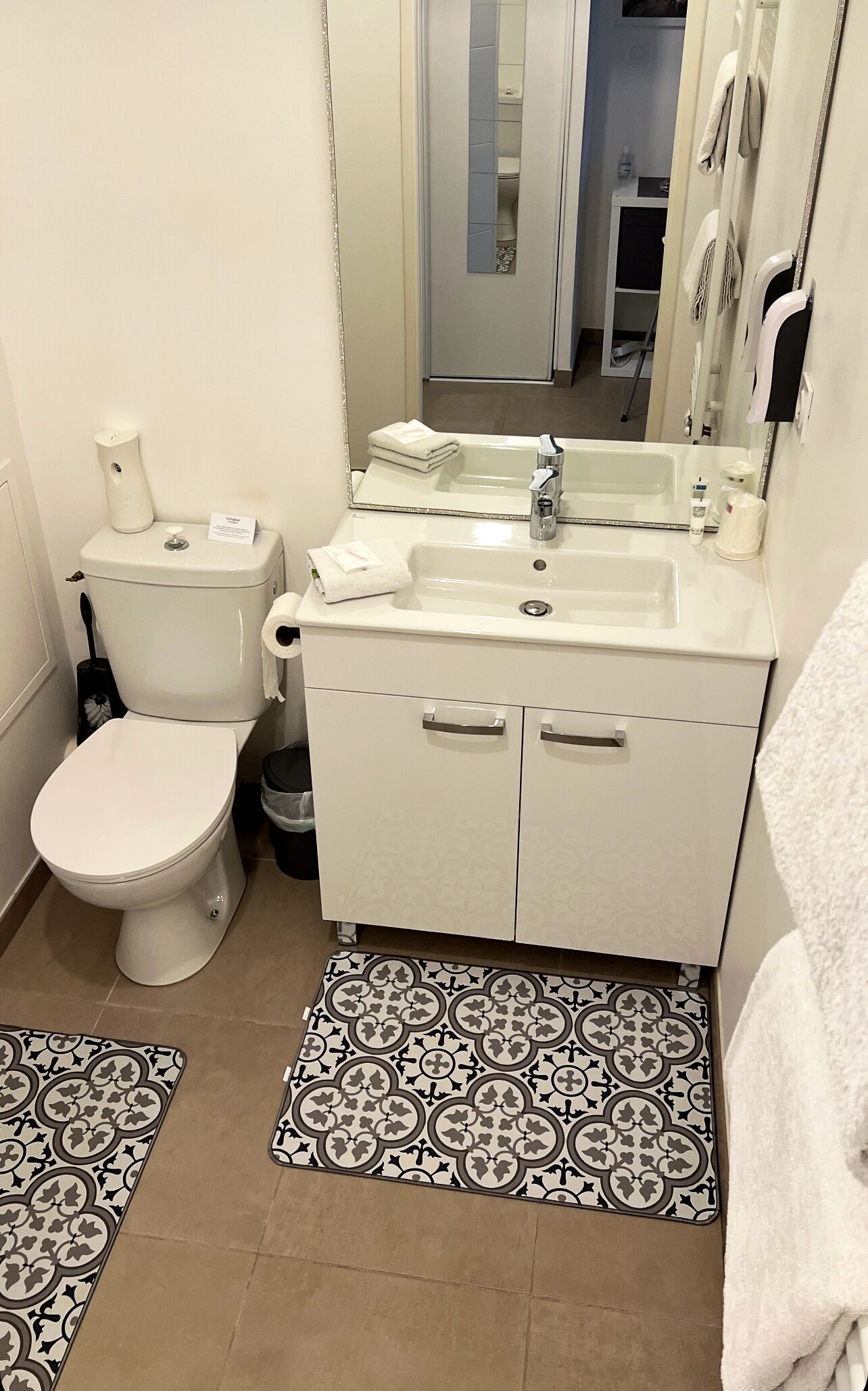 Secador de cabelo, toalhas de banho, shampoo, papel higiênico