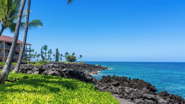 A coastal hotel with a rocky shoreline, palm trees, and a clear blue sky.