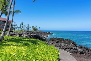 A coastal hotel with a rocky shoreline, palm trees, and a clear blue sky.