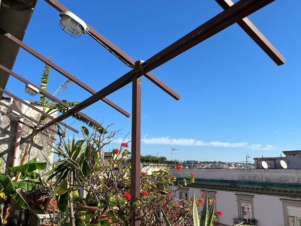 A balcony with a metal frame, potted plants, and red flowers.