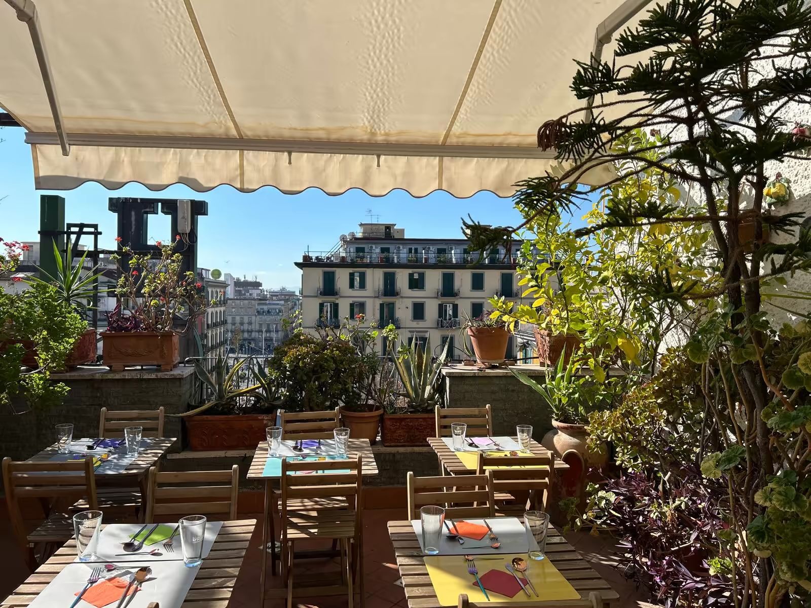 An outdoor dining area with tables and chairs, potted plants, and a view of buildings in the background.