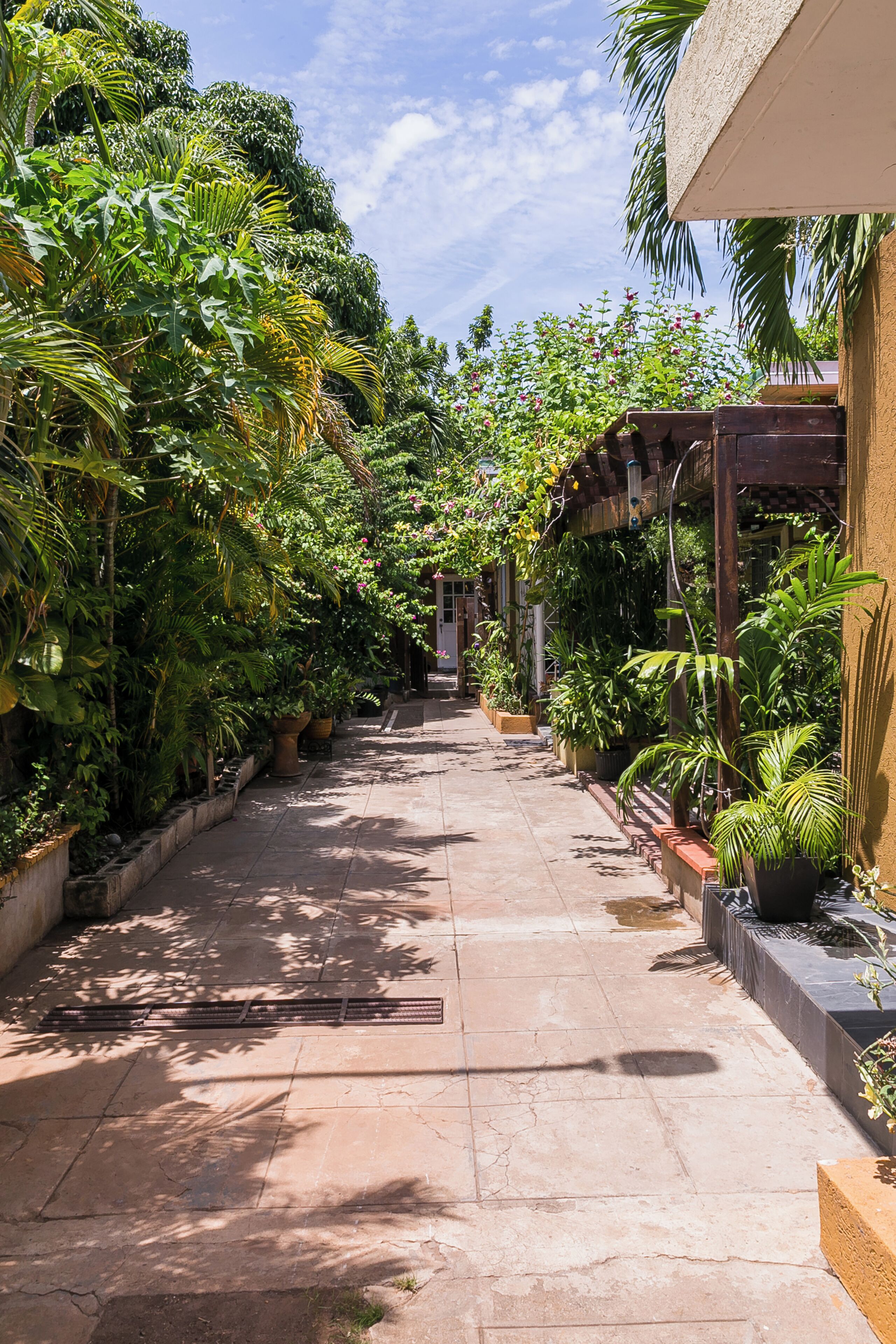 A narrow pathway flanked by lush greenery and potted plants, leading to a building with a covered entrance.