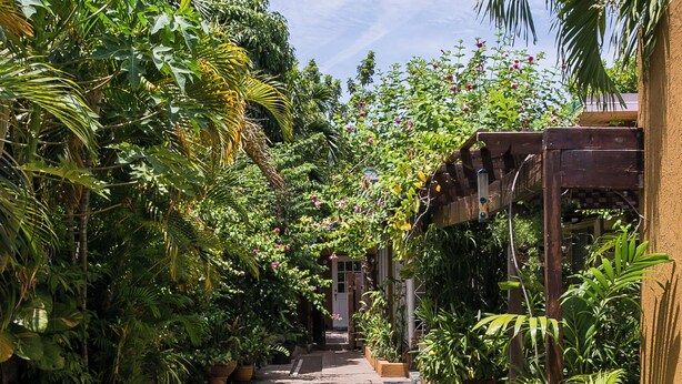 Uma trilha estreita ladeada por vegetação exuberante e plantas em vasos, conduzindo a um edifício com entrada coberta.