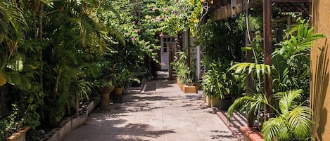 A narrow pathway flanked by lush greenery and potted plants, leading to a building with a covered entrance.