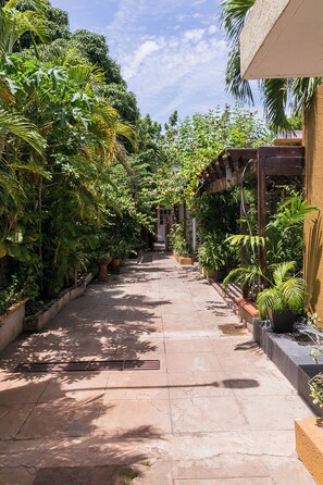 Uma trilha estreita ladeada por vegetação exuberante e plantas em vasos, conduzindo a um edifício com entrada coberta.