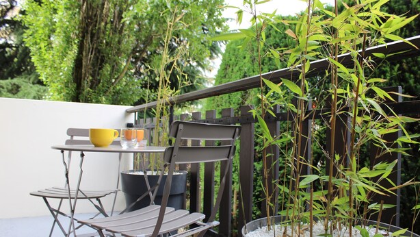 A patio with a metal table and chairs, a yellow mug, and a potted bamboo plant. - Charmant Appartement Annecy Avec Vélos et Parking Classé 3 Étoiles (Annecy)