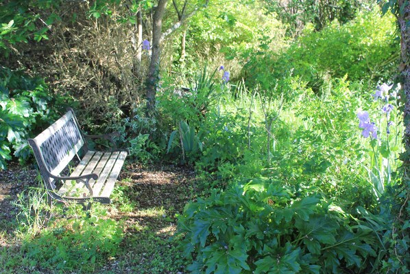 Situated in a lush garden, this serene outdoor space features a bench surrounded by a variety of plants and flowers.