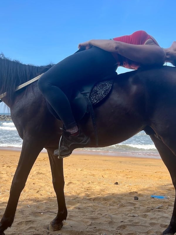 乗馬