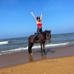 乗馬