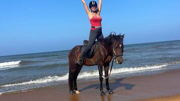 A person on a horse on a beach with the ocean in the background.