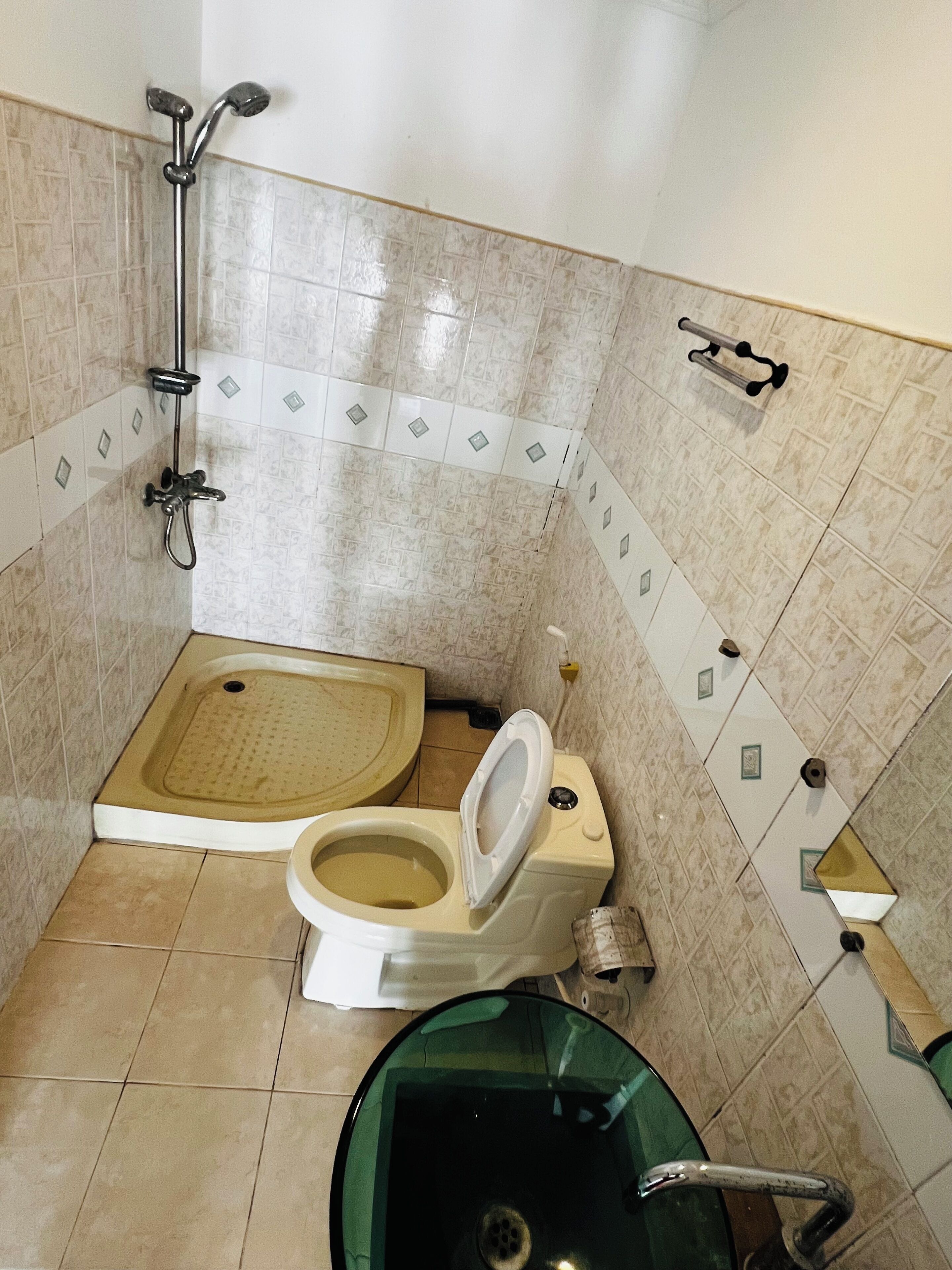 A bathroom with a toilet, bidet, and shower.