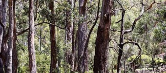 Mountainside Villas Halls Gap