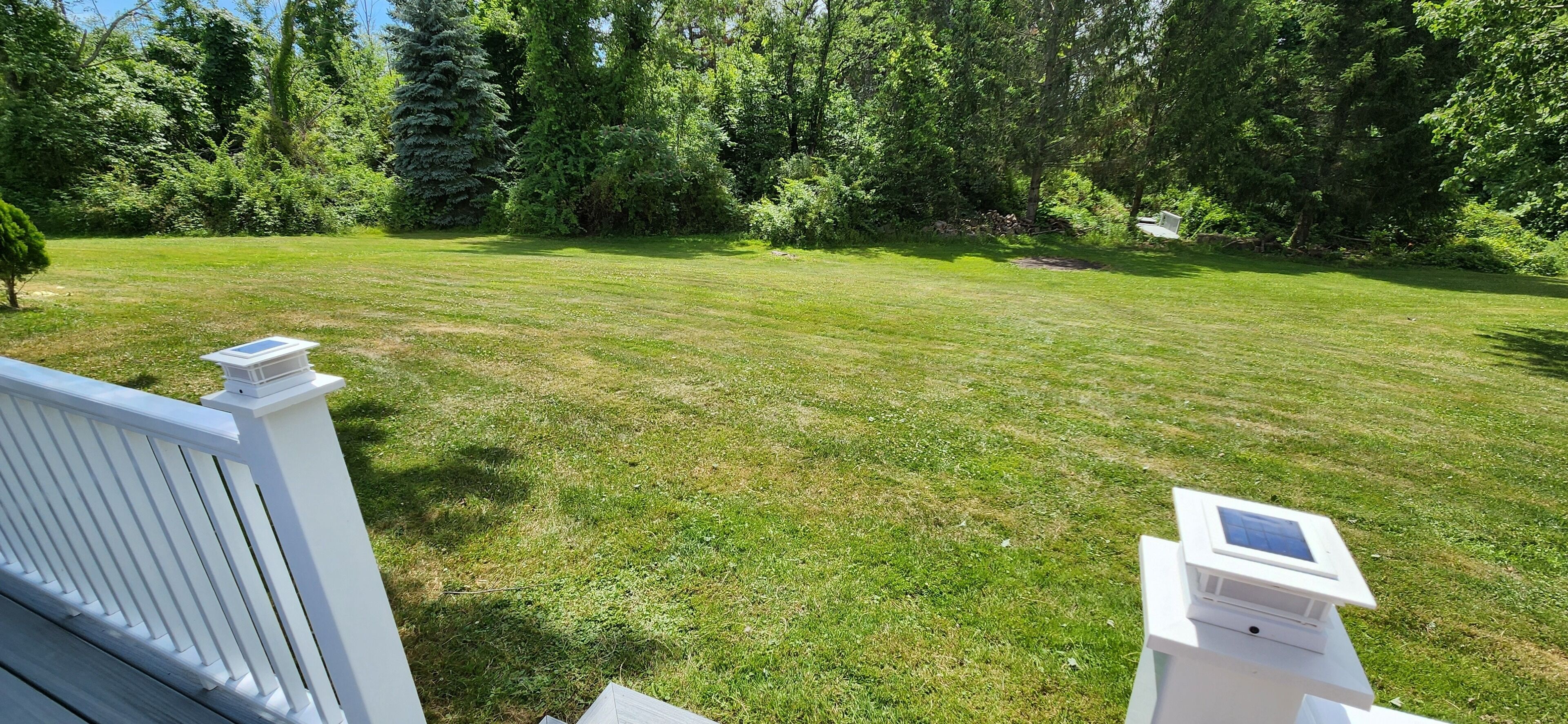 A well-maintained lawn with a white fence and a bench.