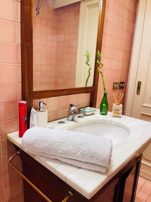 Shower, hair dryer, bidet, towels