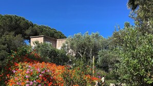 A garden with a variety of flowers and plants, a stone pathway, and a building in the background. - Villa Gardelina (Corsica)