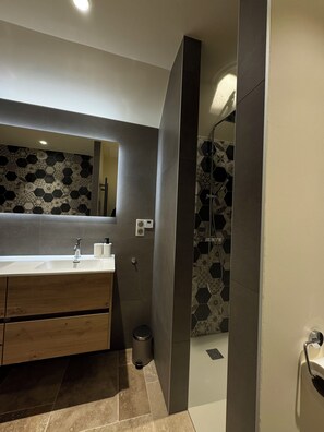 Shower, hair dryer, towels, toilet paper