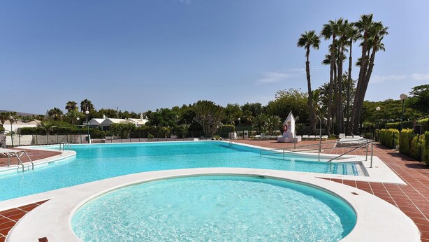 A large outdoor swimming pool with a hot tub, surrounded by palm trees and a clear sky.