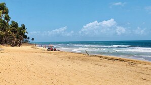Een strand met palmbomen, een heldere lucht en een rustige zee.
