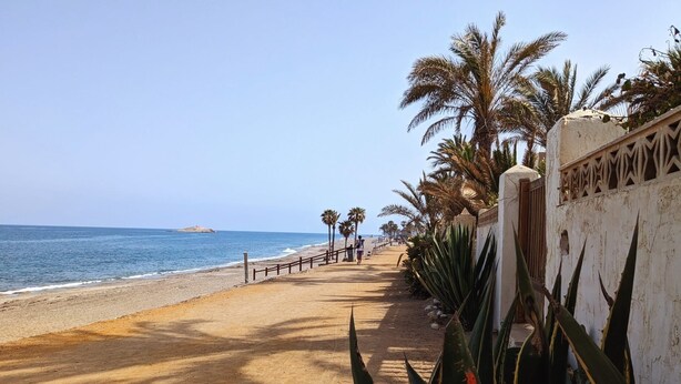 Ein Küstenweg mit Palmen, einem Sandstrand und freiem Blick auf das Meer.