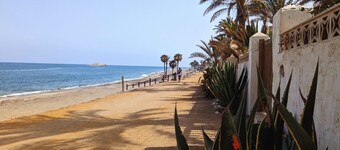 Bambúcarboneras
