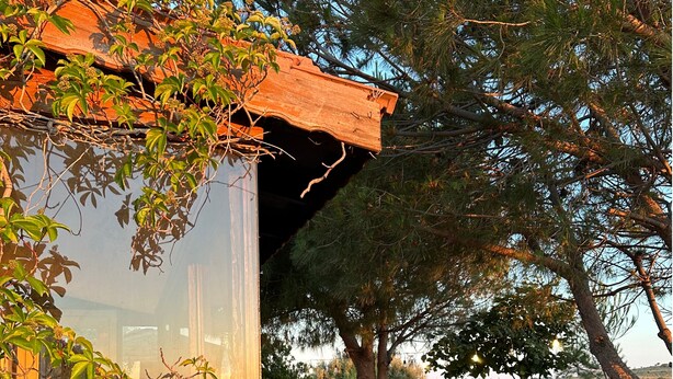 A rustic outdoor seating area with stone flooring and wooden furniture, surrounded by lush greenery and trees. - Denizhan Bağ Evi (Bozcaada)