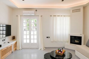 Smart TV, fireplace, books