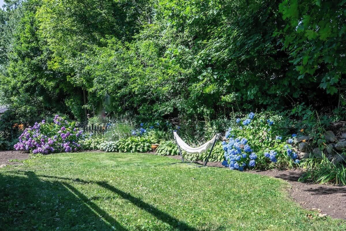 Een tuin met een hangmat, diverse planten en een verzorgd gazon.