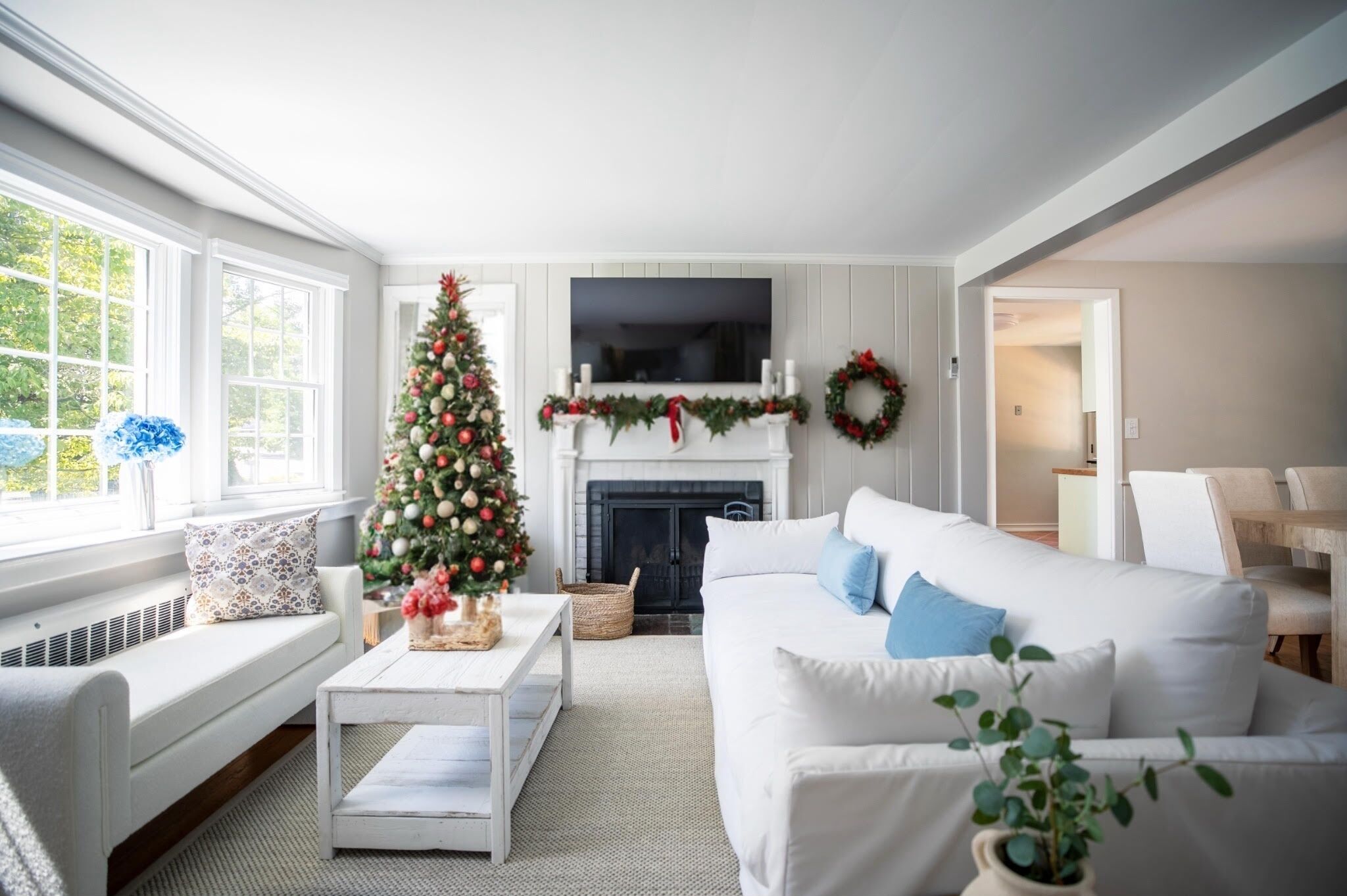 Televisión, chimenea y libros 