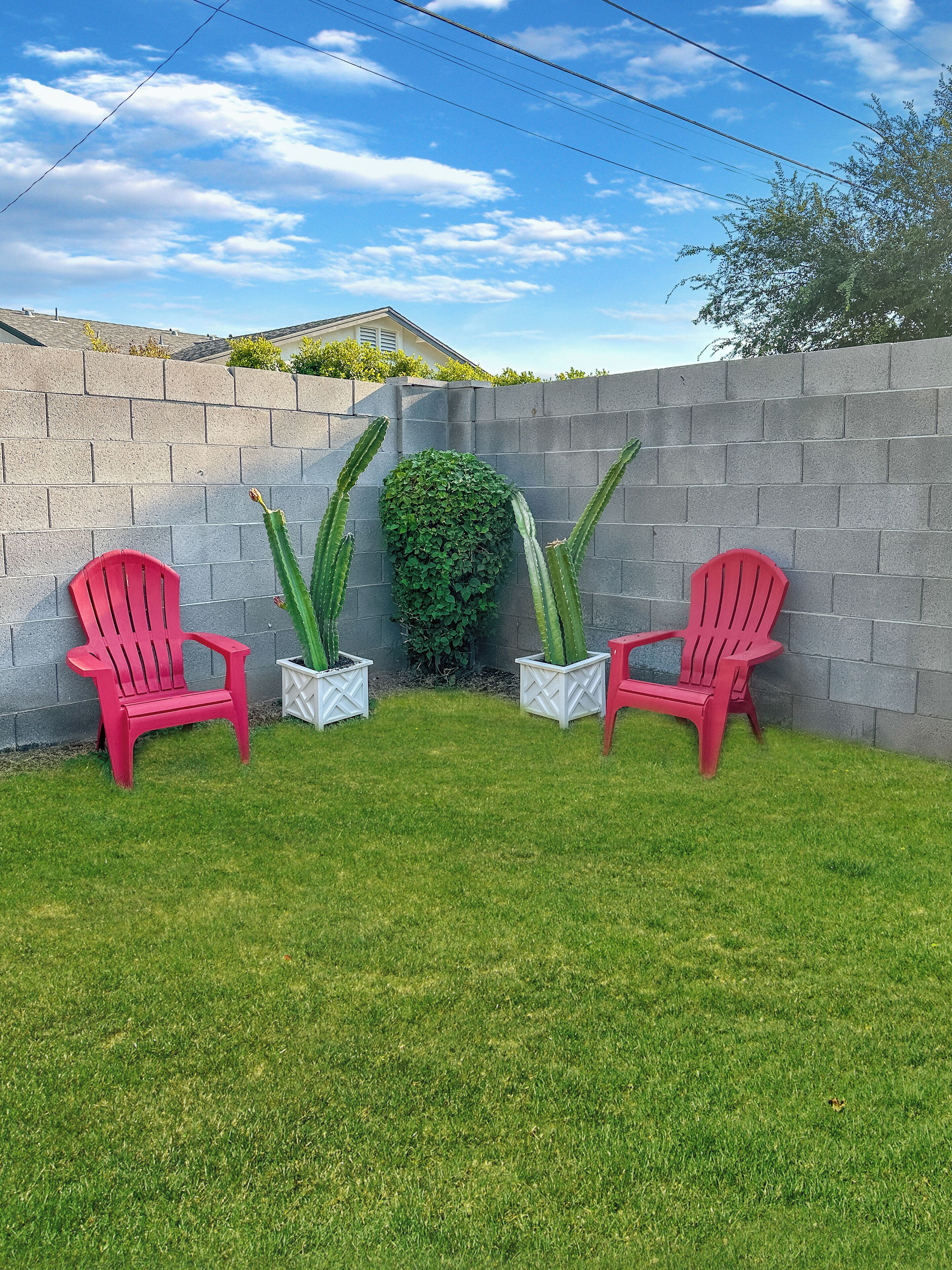 A backyard with two red Adirondack chairs, a green bush, and a tall cactus in white planters against a grey brick wall.