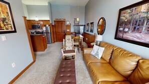 TV, fireplace, DVD player