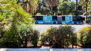 A bus with a blue and white color scheme, parked on a road surrounded by lush greenery and palm trees. - Cubo's Estudio Malaga Center / city center / air conditioning / free wifi (Málaga)