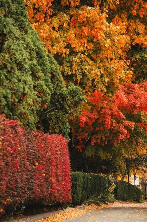 Overnattingsstedets uteområder