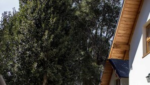 A building with a white exterior and wooden accents, surrounded by a well-maintained lawn and trees. - El Viejo Cipres (San Carlos de Bariloche)
