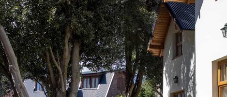 Bungalow, 1 Schlafzimmer | Terrasse/Patio