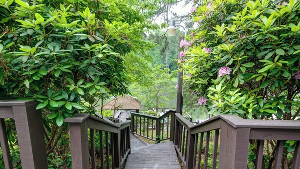A wooden staircase surrounded by lush greenery and a small building in the background. - Lakeside Country Cottage (Talking Rock)