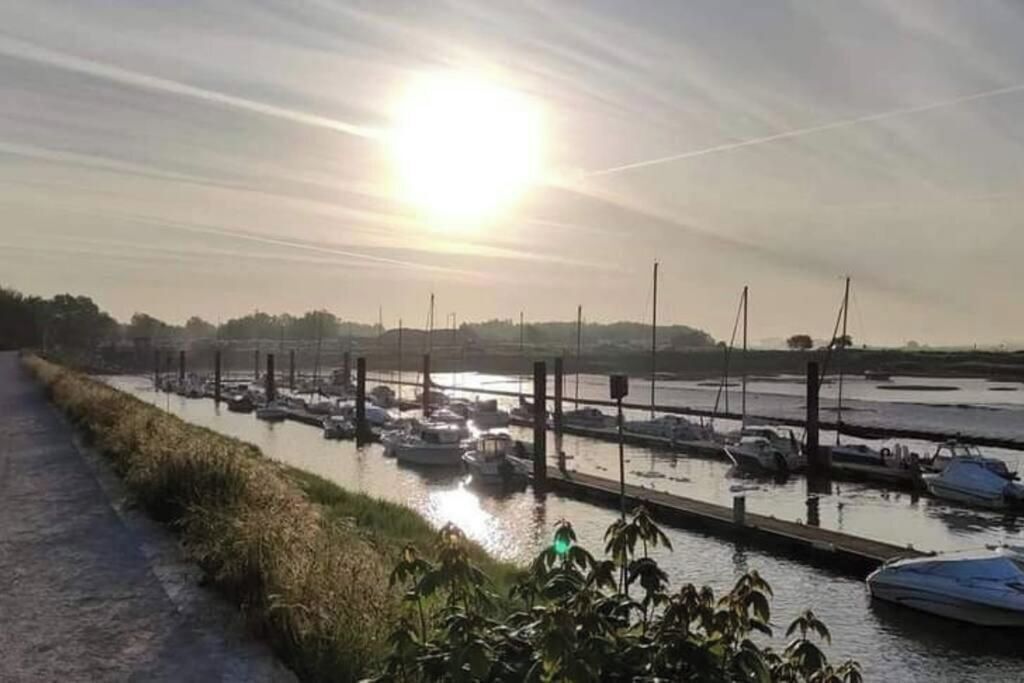 A marina with boats docked along a canal, surrounded by grassy banks.