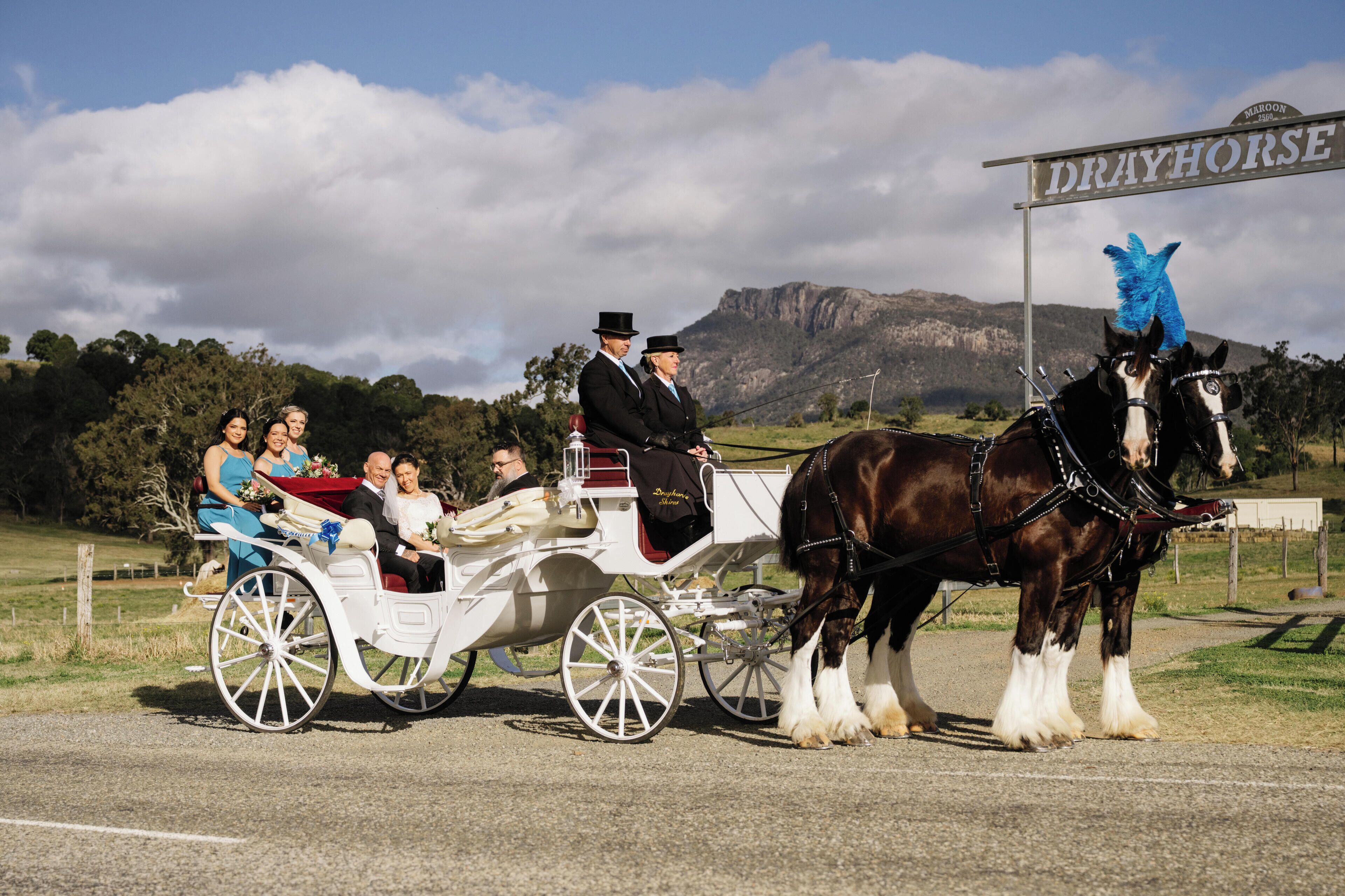 A horse-drawn carriage with passengers and a horse wearing a blue feathered headpiece.