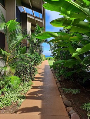Property grounds - Oceanfront 1 bedroom + loft with Beach BBQ & Pool (Lahaina)