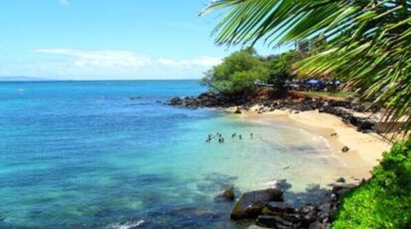 Beach - Oceanfront 1 bedroom + loft with Beach BBQ & Pool (Lahaina)