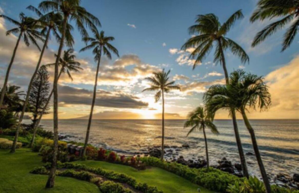 A tropical beach scene with palm trees and a sunset over the ocean.