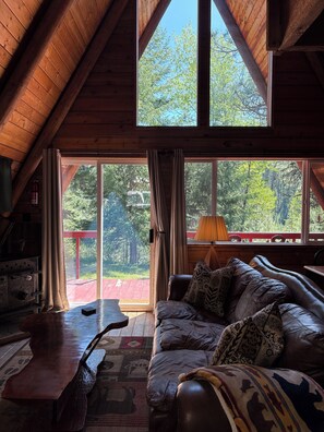 TV, fireplace, DVD player, books