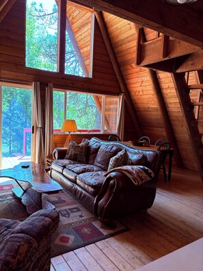 TV, fireplace, DVD player, books
