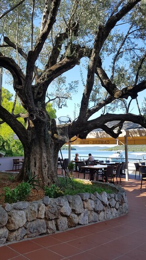 A large tree with a stone wall in the foreground, outdoor seating area with tables and chairs, and a view of the sea in the background. - Pansion Alen-Dugi otok (Sali)