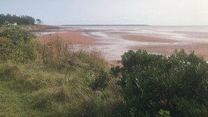 Solsenger og strandhåndklær