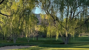 Un campo de golf con césped verde exuberante, árboles y cielo despejado.