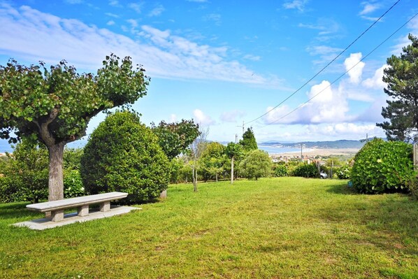 Un espace verdoyant avec un banc, des arbres et une vue lointaine sur une ville.